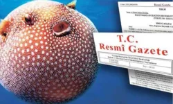 Balon Balığı avcılığı desteği artırıldı