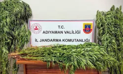 Adıyaman’da uyuşturucu operasyonu: 9 gözaltı