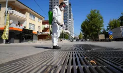 Ankara Keçiören'de ilaçlamalara devam