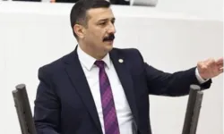 Bursa’nın “doğa incisi Longoz” neden kaderine terk edildi?