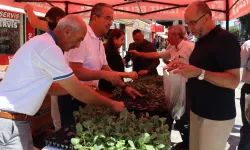 İzmit'ten vatandaşlara fide hediyesi
