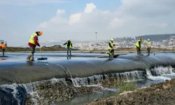 Körfez'de çamur gidiyor, yeni canlılar geliyor