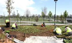 Malatya çiçek bahçesine döndü