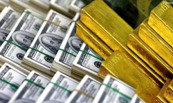 Merkez Bankası rezervleri 185 milyar 47 milyon dolar oldu