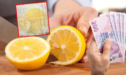 Ticaret Bakanlığı’ndan "çay yanı limon" ücretine denetim