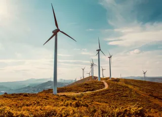 Rüzgar enerjisi başvurularına ayar