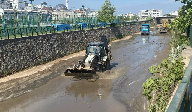 Bursa'da Mandıras Deresi'nde yaz temizliği