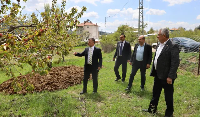 Bursa'dan 'zirai don' mağduru çiftçiye destek