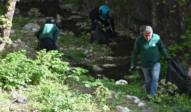 Çaybaşı Deresi’nde temizlik ve ağaçlandırma