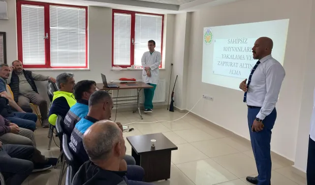 Malatya Büyükşehir'den sahipsiz hayvanlara yaklaşma eğitimi