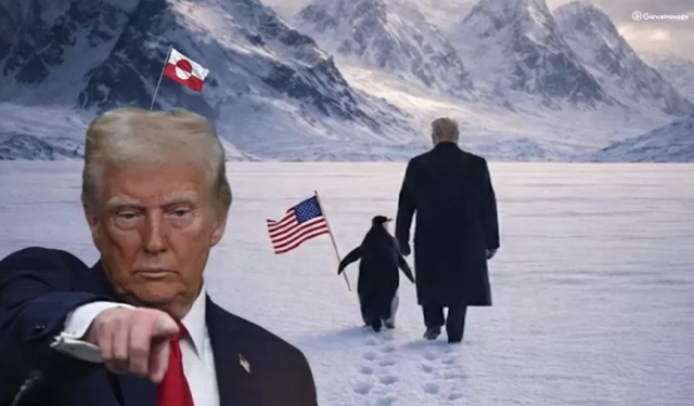 Trump'ın Grönland ısrarı biyolojiyi yendi: Kuzey Yarımküre'ye zorla penguen getirdi