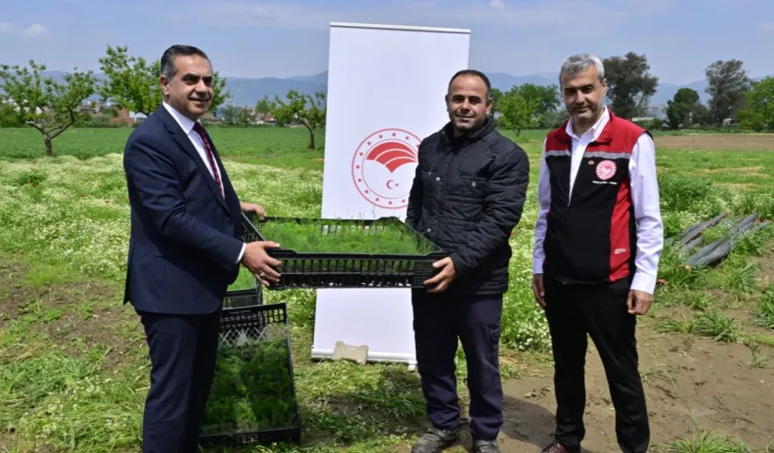17 bin fide üreticilere teslim edildi