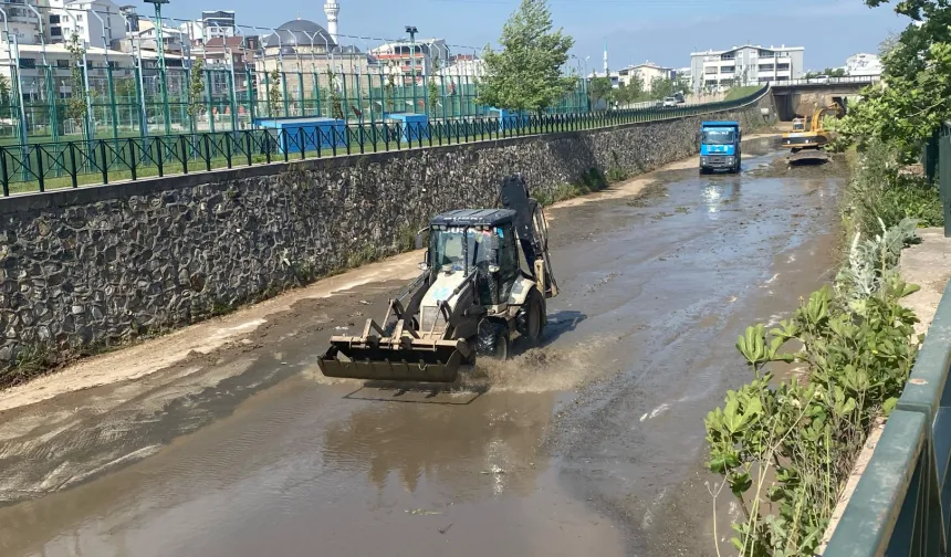 Bursa'da Mandıras Deresi'nde yaz temizliği