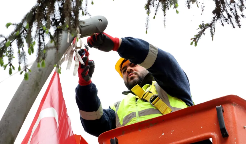 Sakarya'dan doğaya duyarlı çalışma